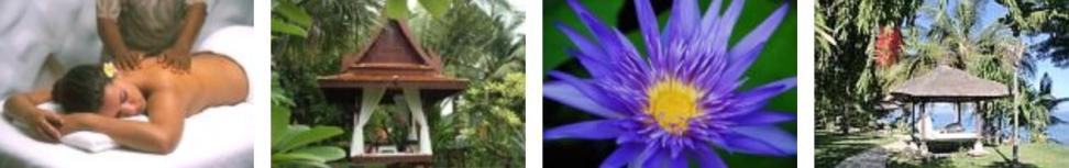 Bali Wellnessangebote
